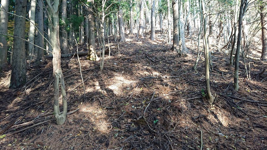 🏯 여우곶 성터(키츠네자키성터) 이미지 2